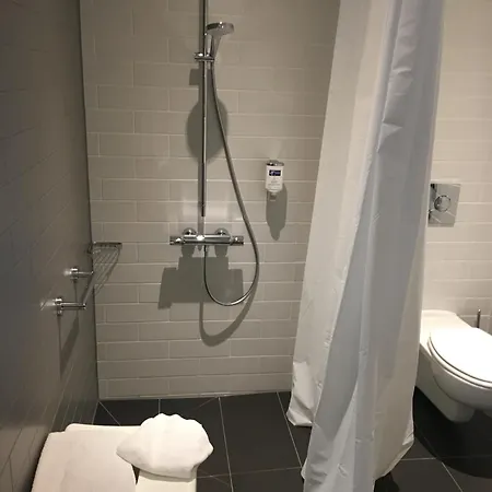 - 城市公园智选假日酒店 3*