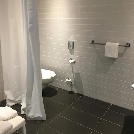 - 城市公园智选假日酒店 卡尔斯鲁厄